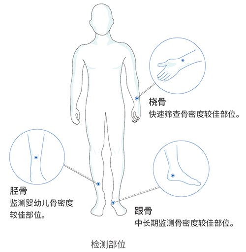 超聲骨密度儀OSTEOKJ3700S應用領(lǐng)域